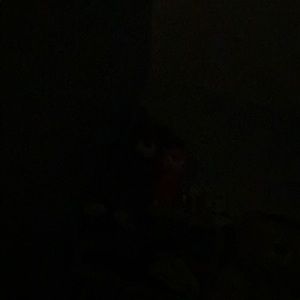 Meet your Posher, Jinny